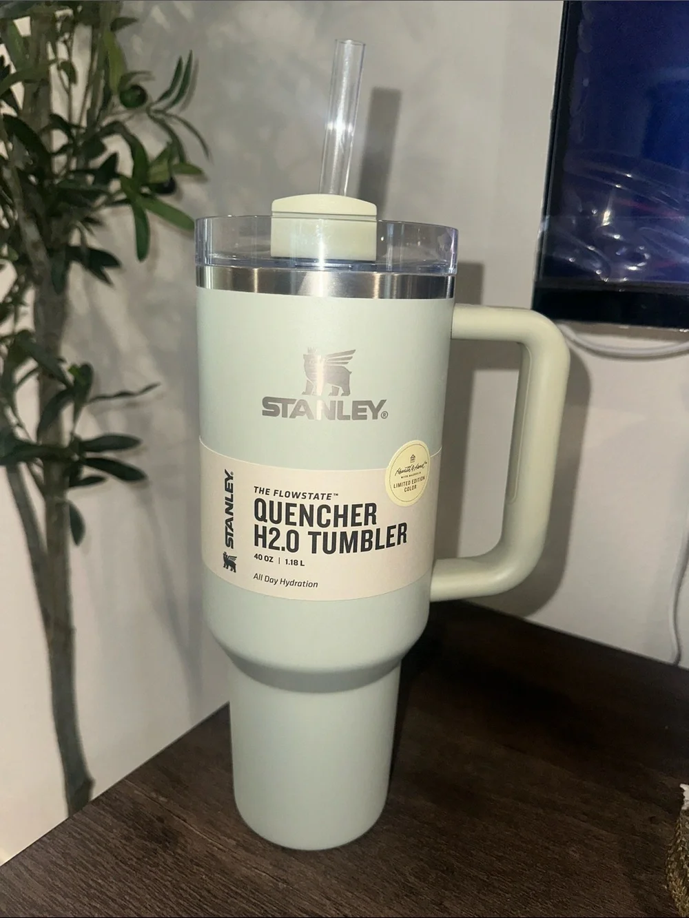 Stanley Quencher H2.0 Tumbler - Light Mint - Picture 6 of 6